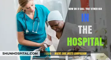 Unraveling the Mystery: What’s the Name of That Other ICU?