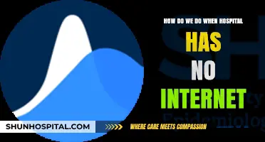 Surviving Offline: Strategies for Hospitals Without Internet Connectivity