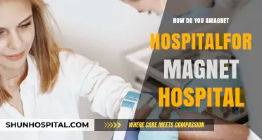 Strategies for Achieving Magnet Recognition in Your Hospital