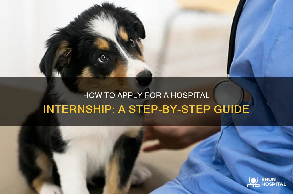 how do you apply to be an intern at hospital