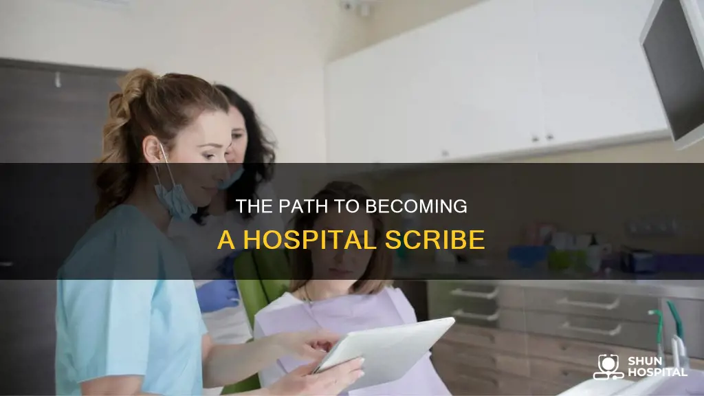 how do you become a hospital scribe
