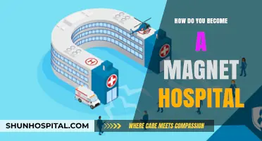 Strategies to Achieve Magnet Hospital Status