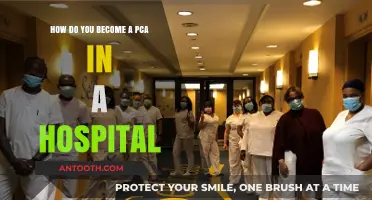 Steps to Becoming a Hospital PCA: A Comprehensive Career Guide