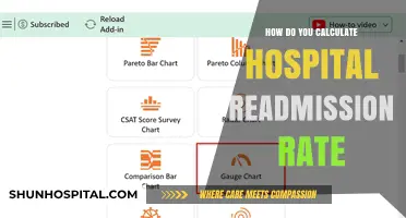 Assessing Hospital Readmission: Calculating Repeat Admissions
