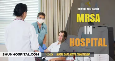 Preventing Hospital-Acquired Infections: Understanding the Spread of MRSA