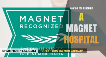 Magnet Hospitals: What Makes Them So Special?