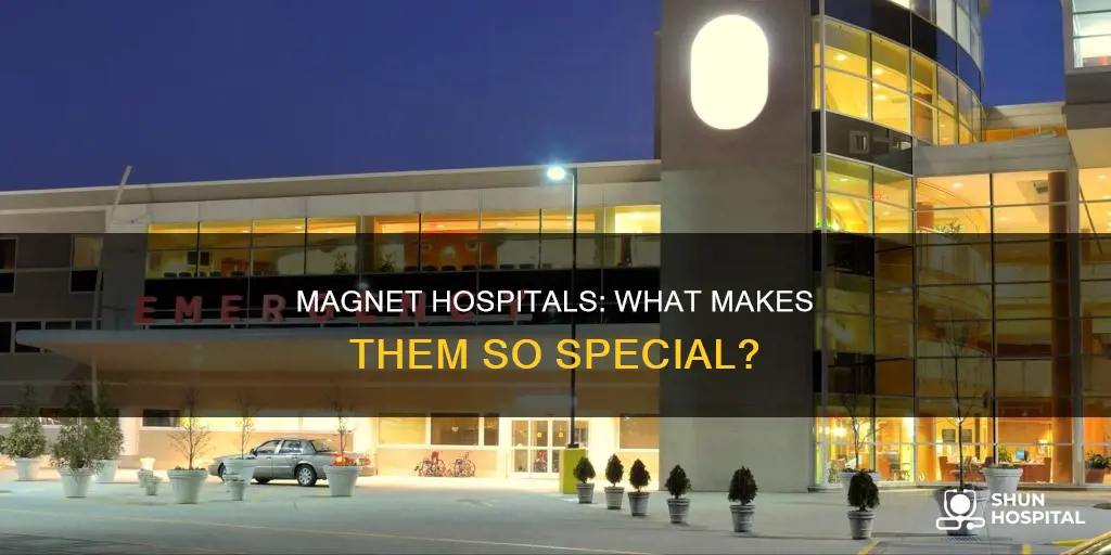 how do you describe a magnet hospital