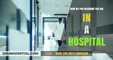Hospital Air: A Unique Blend of Cleanliness, Calm, and Care