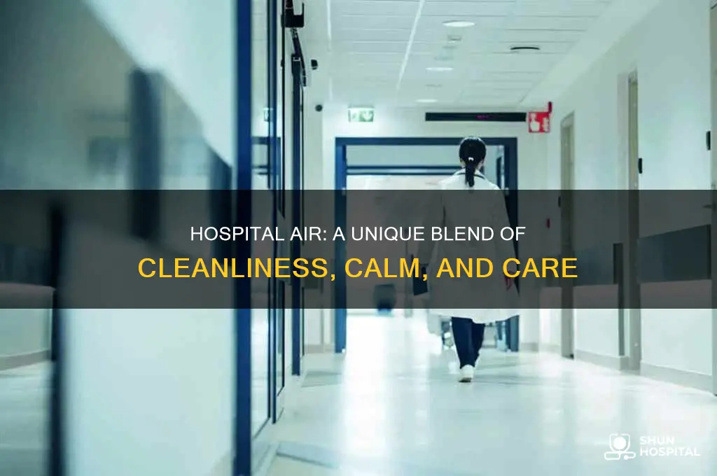 how do you describe the air in a hospital