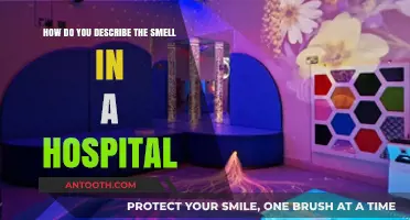 The Unique Aroma of Healing: Decoding Hospital Scents and Their Stories