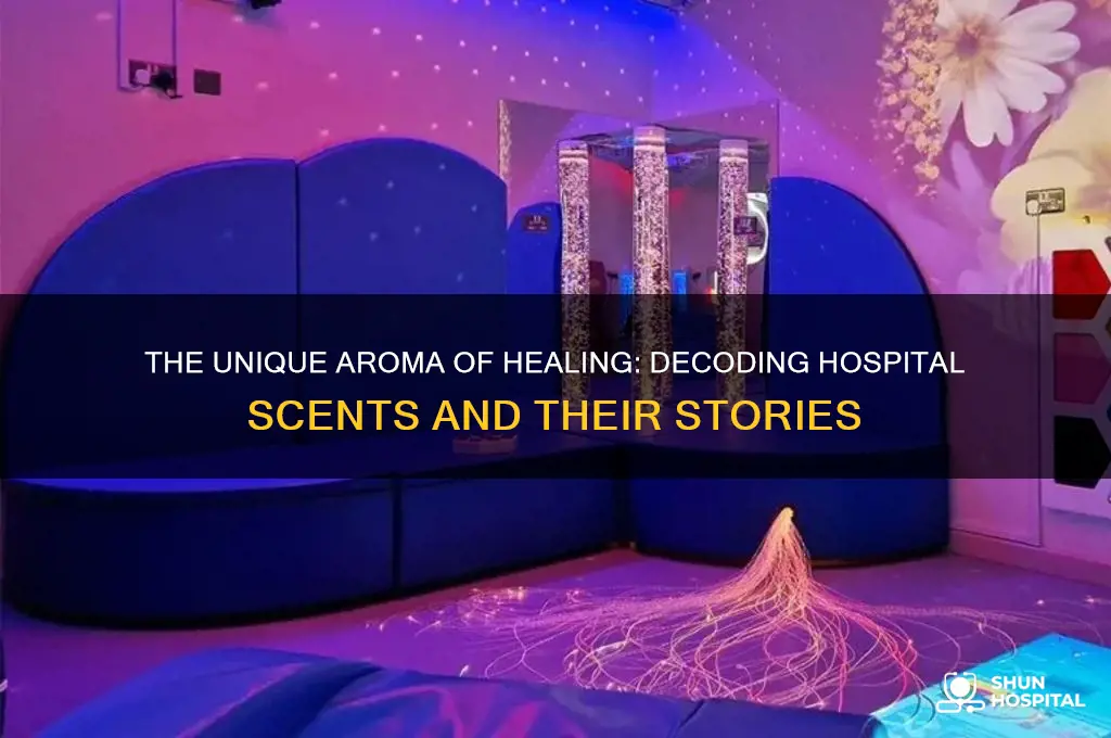 how do you describe the smell in a hospital