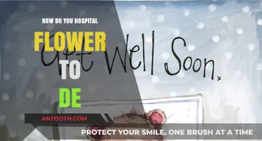 Hospital Flowers: Delightful Delivery and Care