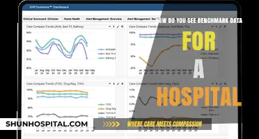 Analyzing Hospital Benchmark Data: Insights for Performance and Improvement