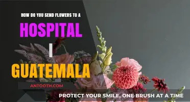 Sending Flowers to Guatemalan Hospitals: A Step-by-Step Guide