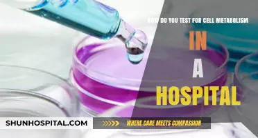 Testing Cell Metabolism in Hospitals: Methods and Clinical Applications