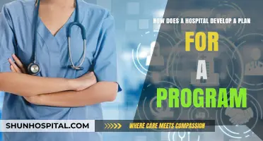 Strategic Steps for Hospitals to Develop Effective Program Plans