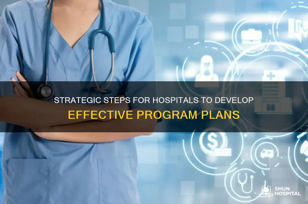 how does a hospital develop a plan for a program