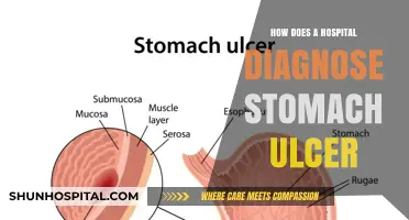 Stomach Ulcer Diagnosis: Hospital Procedures and Tests