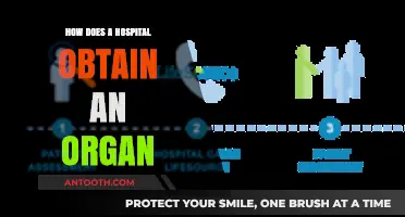 The Complex Process of Hospital Organ Procurement