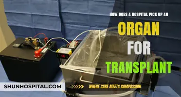 Organ Transplant Logistics: How Hospitals Secure Life-Saving Donations