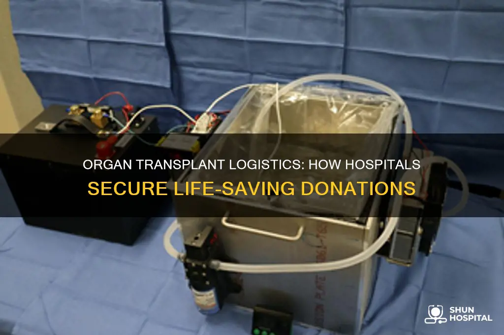 how does a hospital pick up an organ for transplant