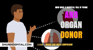 How Hospitals Verify Organ Donor Status: A Step-by-Step Guide