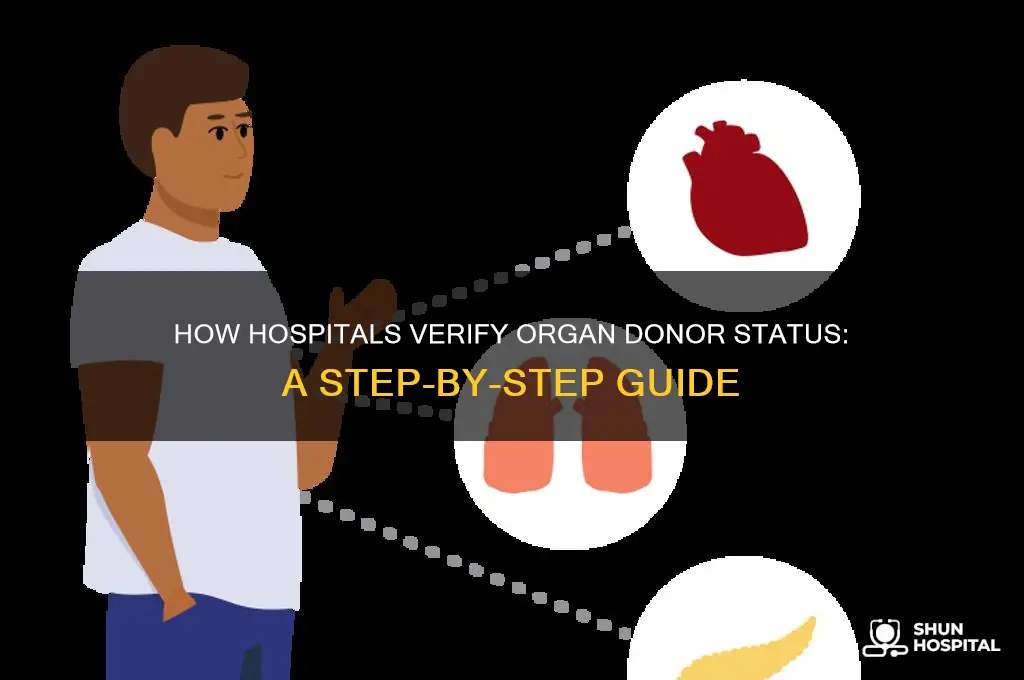 how does a hospital tell if youre and organ donor
