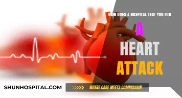 Heart Attack Diagnosis: Hospital Tests and Procedures Explained