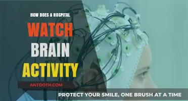 Brain Monitoring: Hospital Techniques and Insights