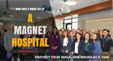 Nursing Excellence: Magnet Hospital Standards and Professional Conduct Explained