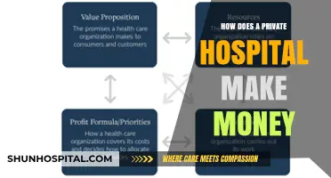 Profiting from Private Healthcare: Strategies for Success
