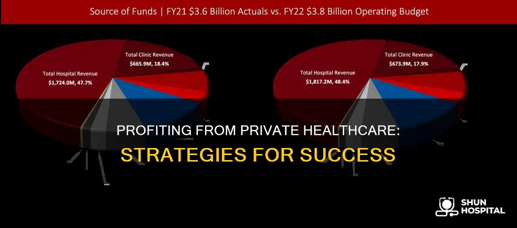 how does a private hospital make money