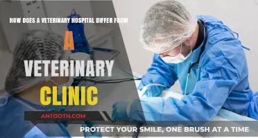 Veterinary Hospitals vs. Clinics: Key Differences Explained for Pet Owners