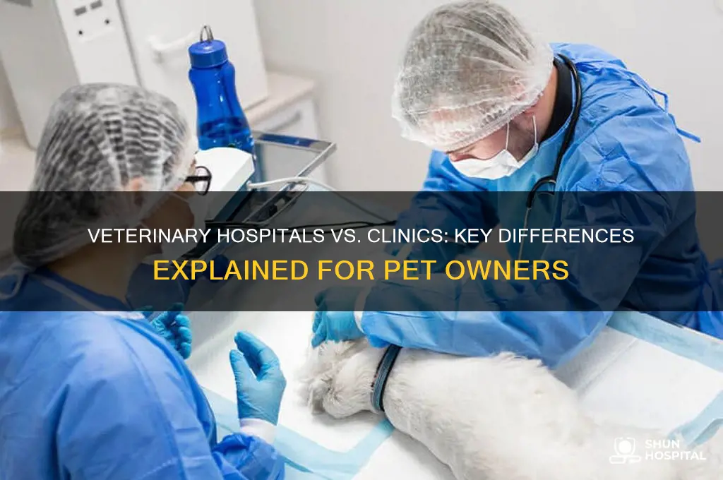how does a veterinary hospital differ from a veterinary clinic