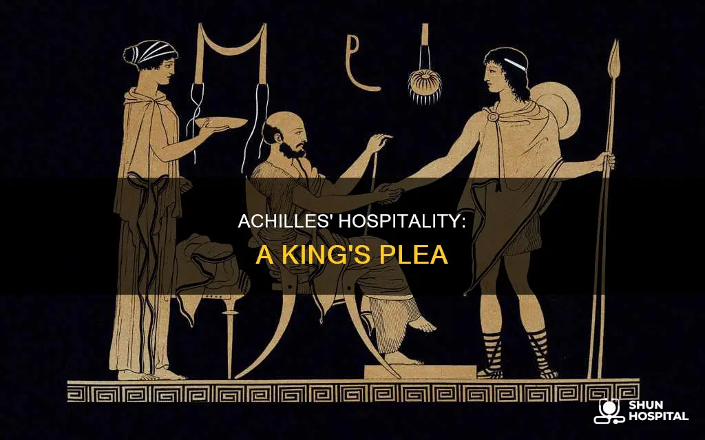 how does achilles show hospitality to priam