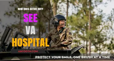 Active Duty's VA Hospital Experience: An Overview