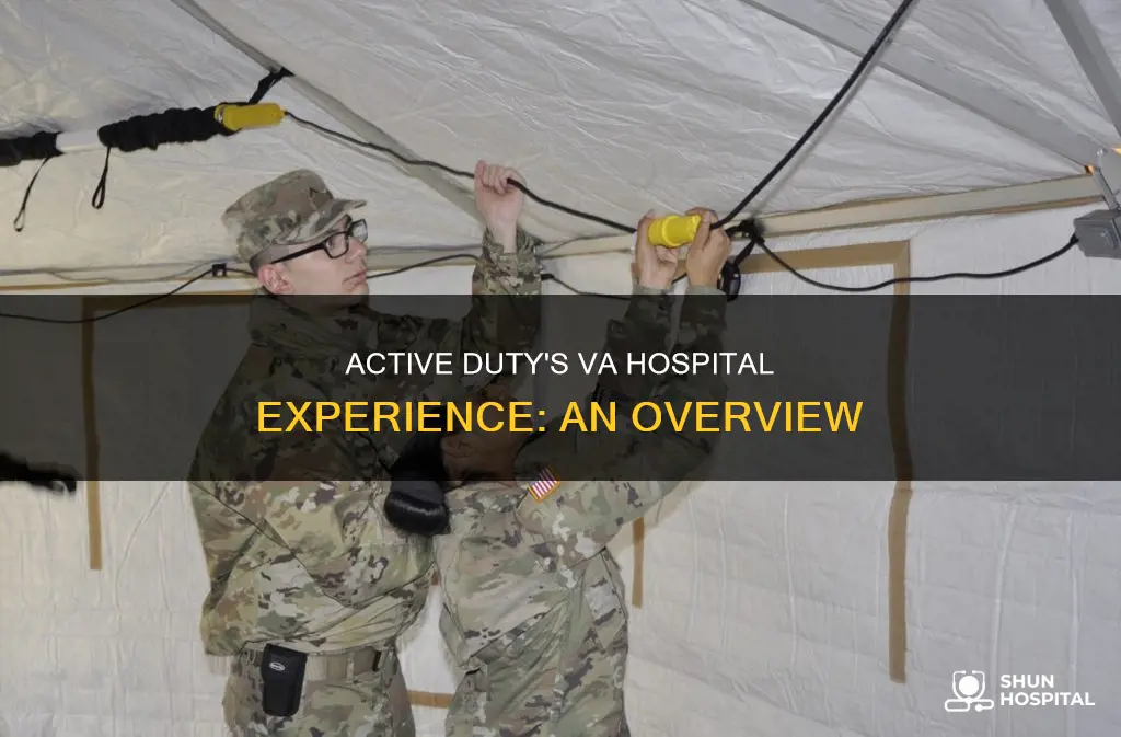 how does active duty see va hospital