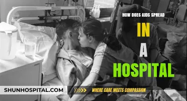 AIDS Transmission in Hospitals: Understanding the Risks