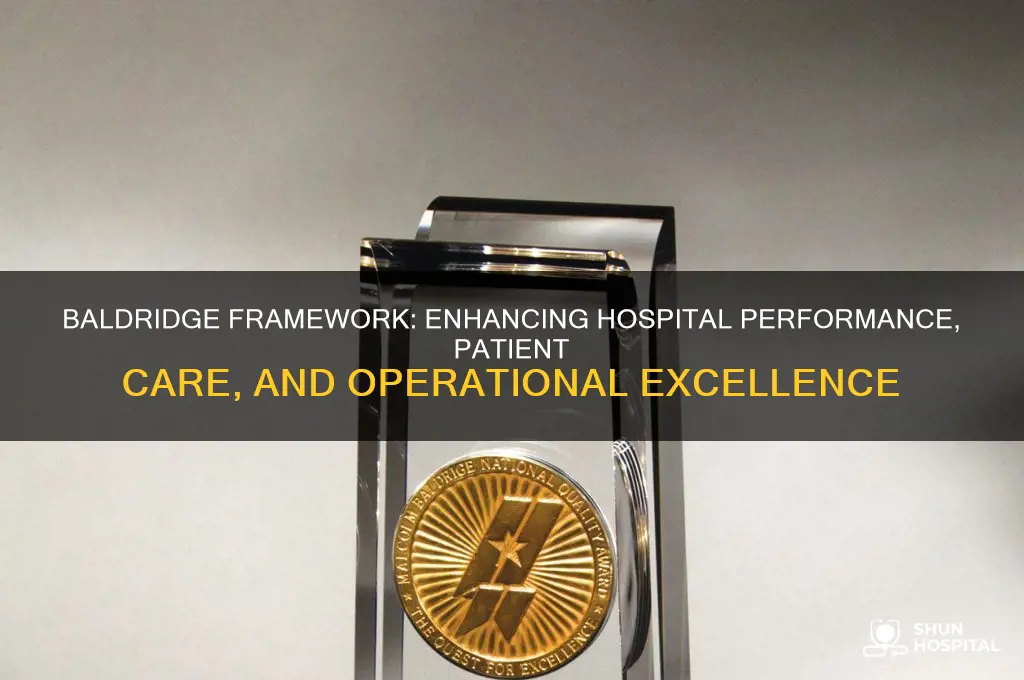 how does baldridge help hospitals