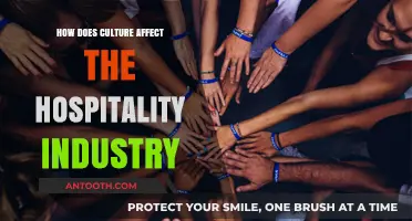 Hospitality's Cultural Lens: Impacting Guest Experience