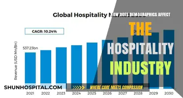 Demographic Insights: Strategies for Hospitality Success