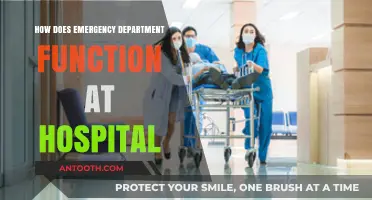 The Emergency Department: A Hospital's Frontline