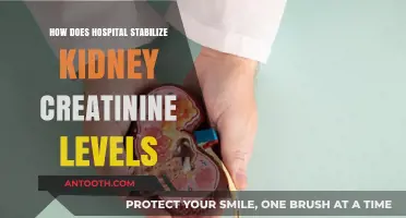 Stabilizing Kidney Creatinine: Hospital Interventions and Treatments