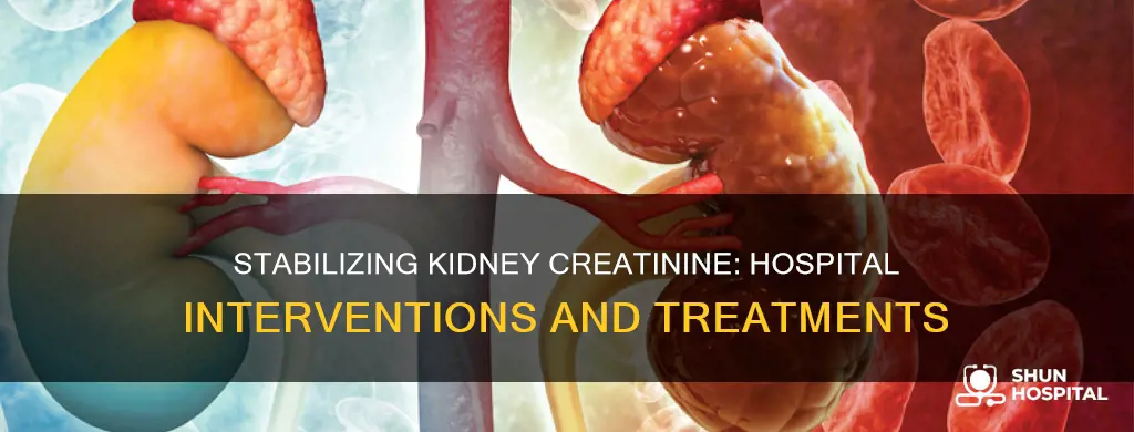 how does hospital stabilize kidney creatinine levels