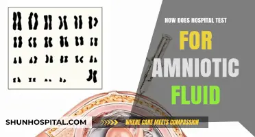 Detecting Amniotic Fluid: Hospital Testing Procedures