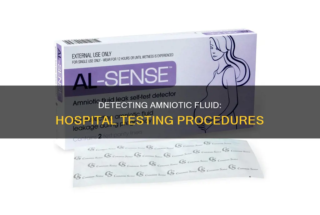 how does hospital test for amniotic fluid