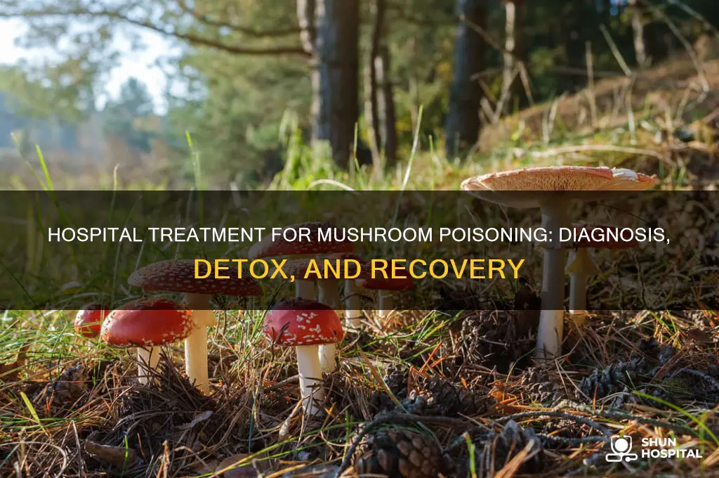 how does hospital treat mushrooms