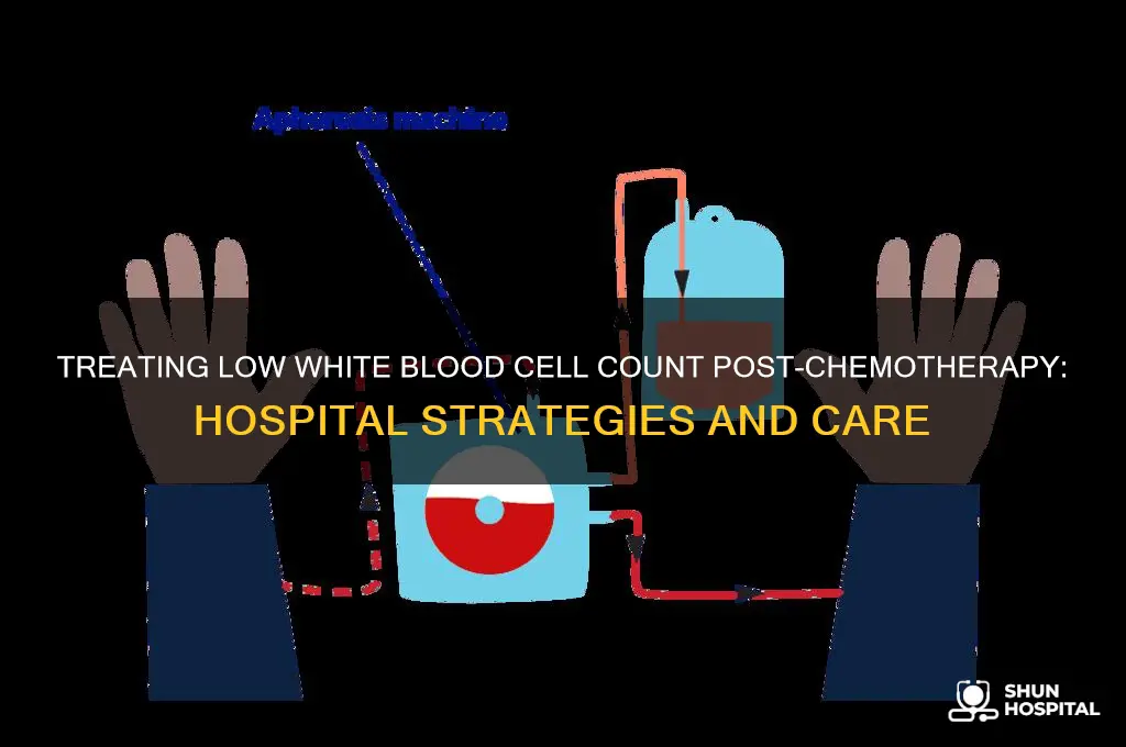 how does hospitals treat low white blood count after chemo