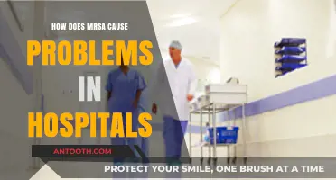 MRSA: A Hospital Hazard and Its Challenges