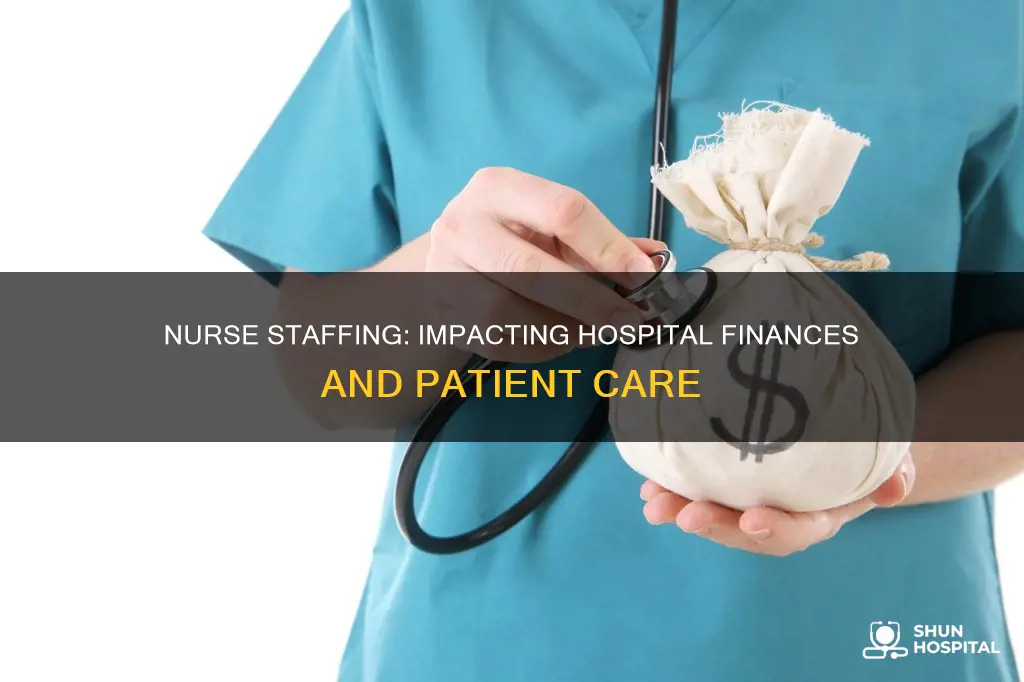 how does nurse staffing affect hospital finances